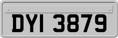 DYI3879