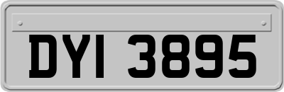 DYI3895