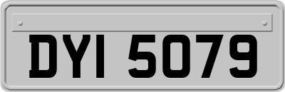 DYI5079