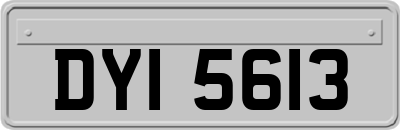 DYI5613