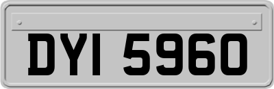 DYI5960