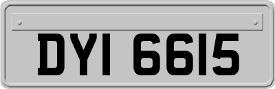 DYI6615