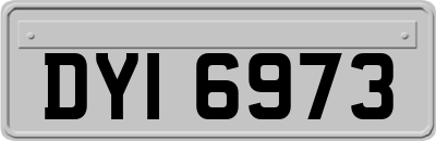 DYI6973