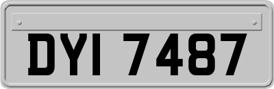 DYI7487