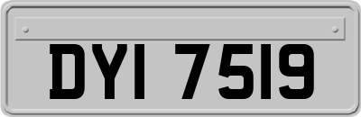 DYI7519