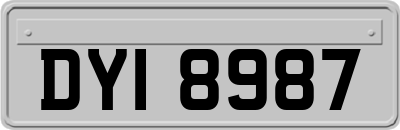 DYI8987