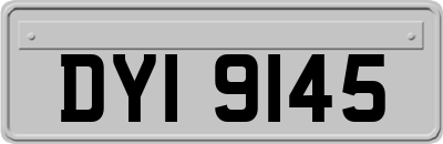 DYI9145