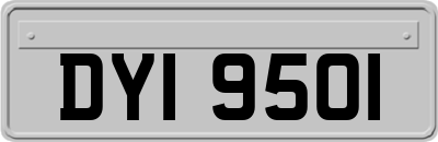 DYI9501