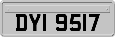 DYI9517