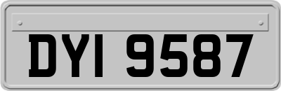 DYI9587