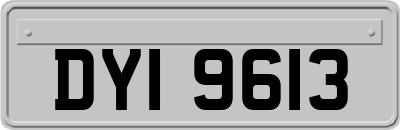 DYI9613