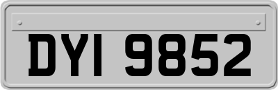DYI9852