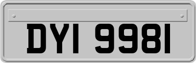 DYI9981