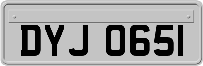 DYJ0651