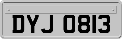 DYJ0813
