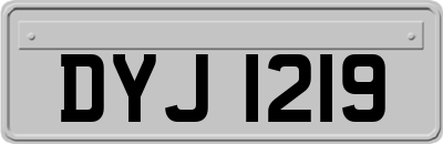 DYJ1219