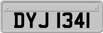 DYJ1341