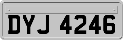 DYJ4246