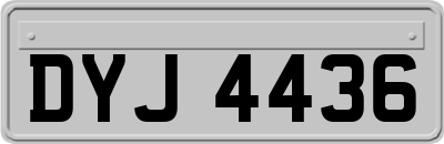 DYJ4436