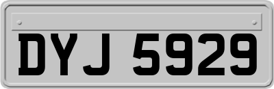 DYJ5929