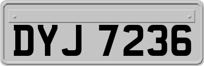 DYJ7236