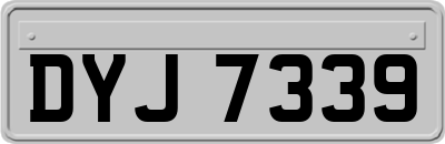 DYJ7339