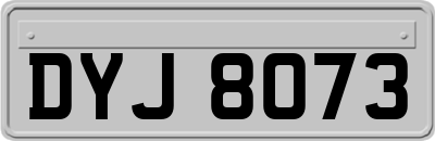 DYJ8073