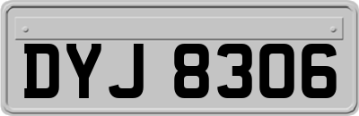 DYJ8306