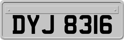 DYJ8316