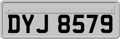 DYJ8579