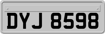 DYJ8598