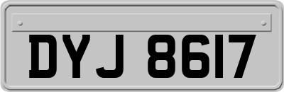 DYJ8617