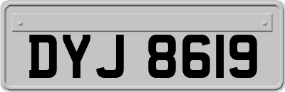 DYJ8619