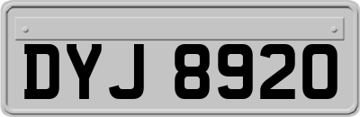 DYJ8920