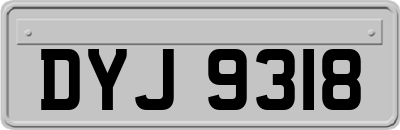 DYJ9318