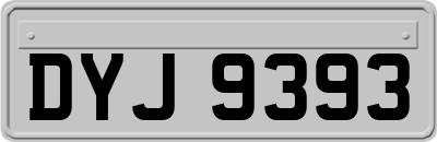 DYJ9393