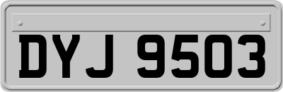 DYJ9503