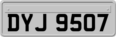 DYJ9507