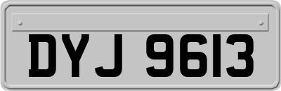 DYJ9613