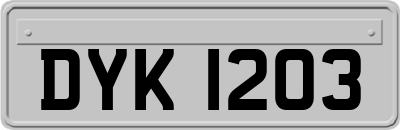 DYK1203