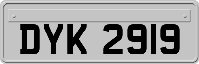 DYK2919