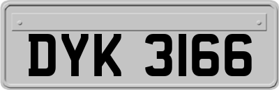 DYK3166