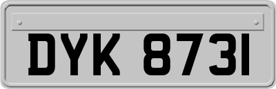 DYK8731