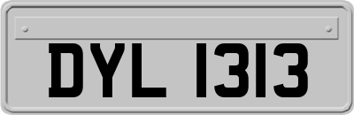 DYL1313