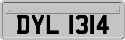 DYL1314