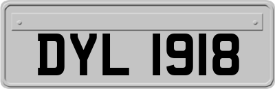 DYL1918