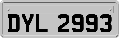 DYL2993