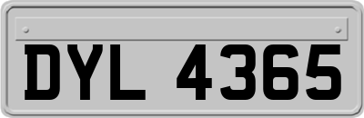DYL4365