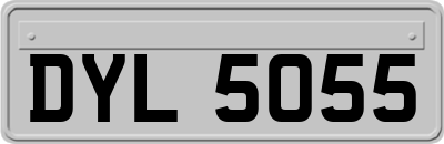 DYL5055