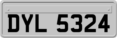 DYL5324